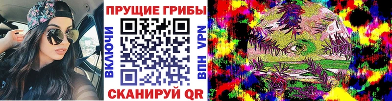 Псилоцибиновые грибы Cubensis  купить закладку  Краснозаводск 