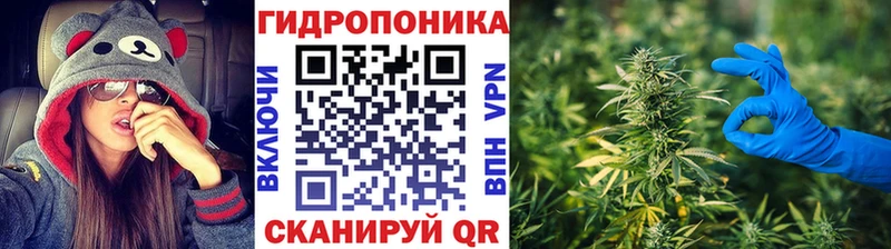 Бошки марихуана план  Краснозаводск 